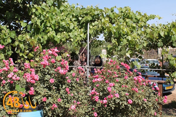 re7la bayere3jqw (30).JPG